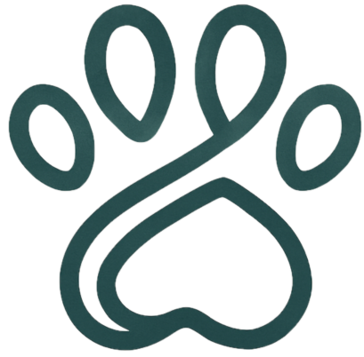 Logo Animexa
